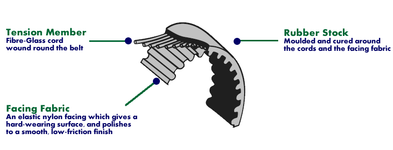 Timing belt cross section