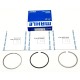 Piston Ring Pack for Jeep Compass 2.2 CRD - OM651.925