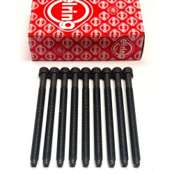 Cylinder Head Bolts for Volkswagen 1.9 & 2.0 TDi