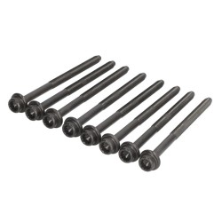 Head Bolts for Seat Mii, Cordoba, Ibiza, Toledo 1.0 & 1.2 12v | 036103384B