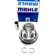 4 Pistons for BMW 116, 118, 120, 318, 320, 520, X1, X3, Z4 2.0 - N43B20 & N46B20
