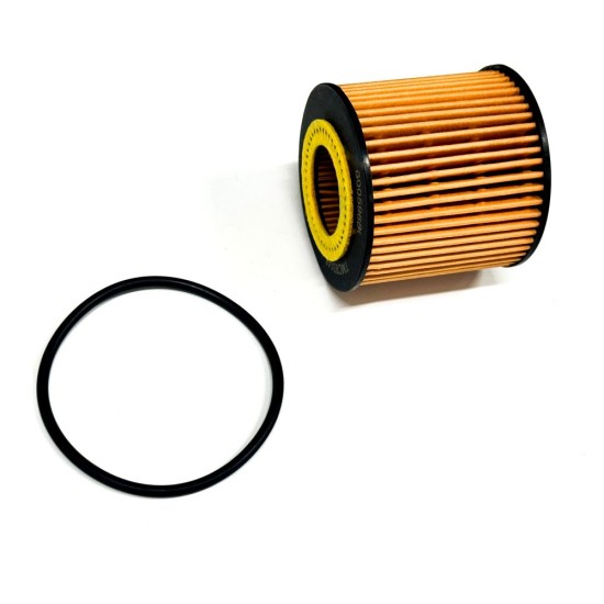 2 Oil Filters with Sealing Rings for Volkswagen Fox & Polo 1.2 12v | 03D198819