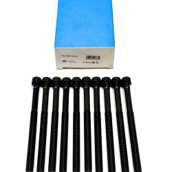Cylinder Head Bolt Set for Polestar 1 2.0 PHEV - B4204