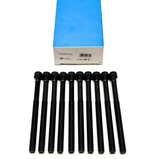 Cylinder Head Bolt Set for Polestar 1 2.0 PHEV - B4204