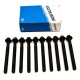 Cylinder Head Bolt Set for Renault 2.0, 2.2, 2.3, 2.5 dCi - M9R, M9T, G9T, G9U