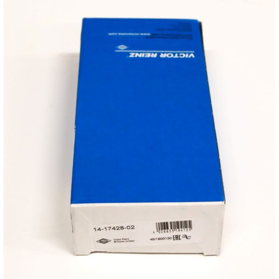 Cylinder Head Bolts for Fiat 500X & Tipo 1.0 12v GSE - 55282151 | 55282249 & 68440264AA