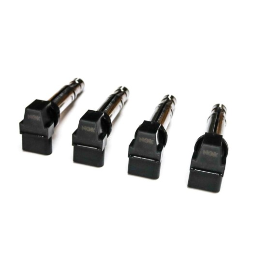 Set of 4 Ignition Coils for Seat 1.4, 1.6, 2.0 TSi | 036905100 & 036905715