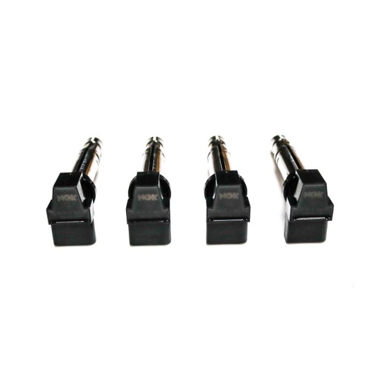 Set of 4 Ignition Coils for Seat 1.4, 1.6, 2.0 TSi | 036905100 & 036905715