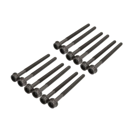 Cylinder Head Bolts for Cupra Formetor 2.5 VZ5 - DNWB