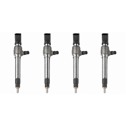 Set of 4 Injector Nozzles for Citroen 2.2 HDi