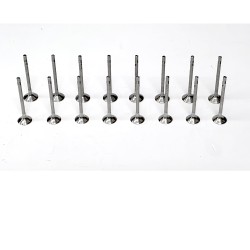 16 Engine Valves for Audi A1, A3, A4, A5, A6, Q2, Q3, Q5 & TT 2.0 TDi