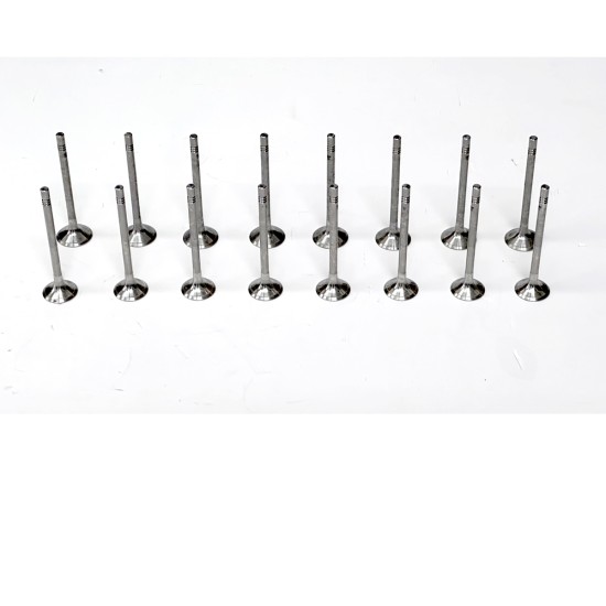 16 Engine Valves for Seat Alhambra, Altea, Ateca, Exeo, Ibiza, Leon, Tarraco & Toledo 2.0 TDi