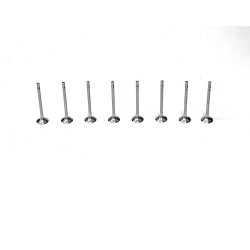 8 Exhaust Valves for Audi A1, A3, A4, A5, A6, Q2, Q3, Q5 & TT 2.0 TDi