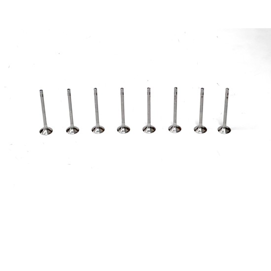 8 Exhaust Valves for Seat Alhambra, Altea, Ateca, Exeo, Ibiza, Leon, Tarraco & Toledo 2.0 TDi