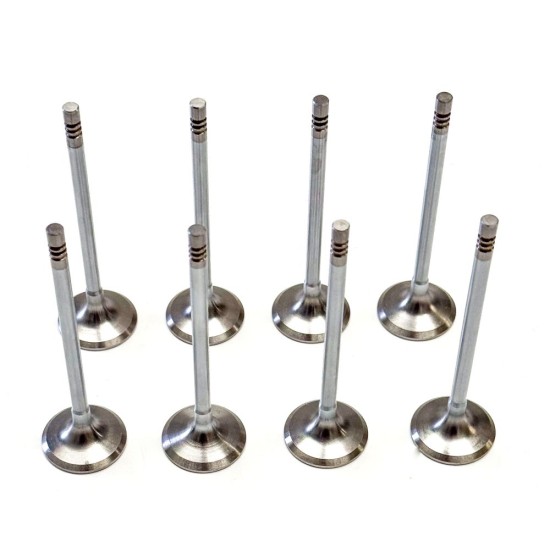 Set of Inlet & Exhaust Valves for BMW 2.0 D - B47 & N47
