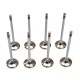Set of Inlet & Exhaust Valves for BMW 2.0 D - B47 & N47