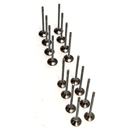Set of Inlet & Exhaust Valves for BMW 2.0 D - B47 & N47