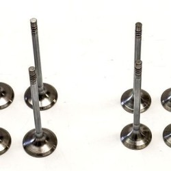 Set of Inlet & Exhaust Valves for BMW 2.0 D - B47 & N47