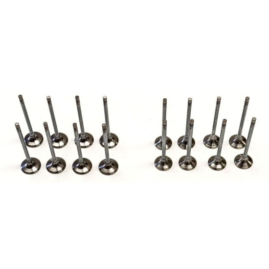 Set of Inlet & Exhaust Valves for BMW 2.0 D - B47 & N47