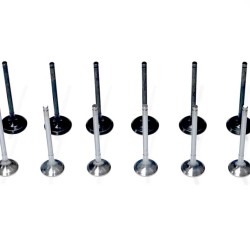 Set of 16 Engine Valves for Hyundai Accent, Tucson, Veloster, i20, i30, i40, ix20, ix35 1.4 & 1.6 16v