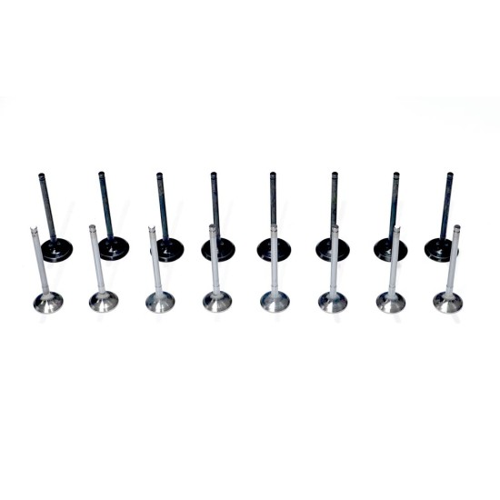 Set of Engine Valves for Kia 1.4 & 1.6 GDi / CVVT - G4FA, G4FC, G4FD