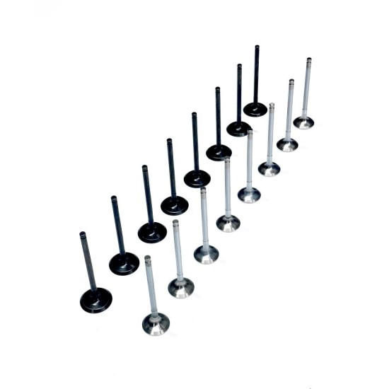 Set of Engine Valves for Kia 1.4 & 1.6 GDi / CVVT - G4FA, G4FC, G4FD