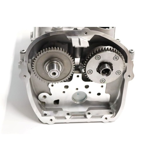 Complete Cylinder Head with Valves, Springs and Camshafts for Audi 1.8 & 2.0 TFSI