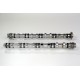 Inlet & Exhaust Camshafts for Jaguar E-Pace, F-Pace, XE & XF 2.0 D - 204DTA & 204DTD