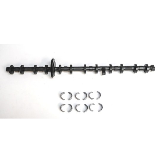 Eccentric Shaft with Actuator & Bearings for BMW 3.0i - N55B30A