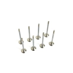 Set of 8 Exhaust Valves for DS DS3, DS4, DS7 1.5 BlueHDi - YHY & YHZ - DV5RC & DV5RD