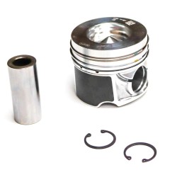 Piston for Volkswagen Touareg 3.0 TDi