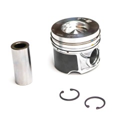 Piston for Volkswagen Touareg 3.0 TDi