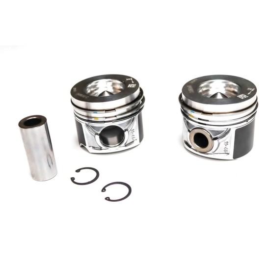 Set of Pistons for Audi A4, A5, A6, A7, A8, Q5 & Q7 3.0 TDi
