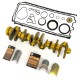 Crankshaft with ACL Race Bearings & Crankcase Gasket Set for BMW 3.0i - N55B30A