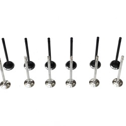 Set of 6 Inlet & 6 Exhaust Valves for Dacia Logan & Sandero 0.9 H4B