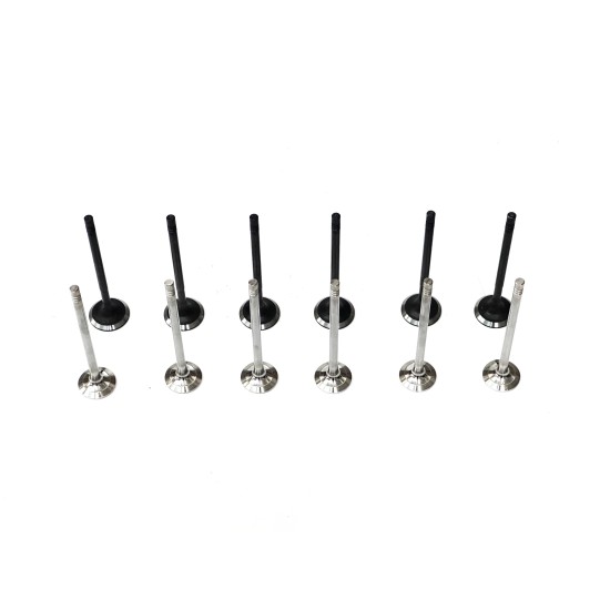 Set of 6 Inlet Valves & 6 Exhaust Valves for Renault Captur, Clio & Twingo 0.9 12v TCe