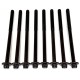 Cylinder Head Gasket & Bolts for BMW 1.5i - B38