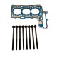 Cylinder Head Gasket & Bolts for BMW 1.5i - B38