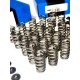 Conical Valve Spring Kit for BMW 3.0 N54B30, N55B30 & S55B30
