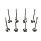 Set of Engine Valves for Volvo 2.0 D2, D3, D4 & D5 - D4204T