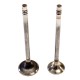 Set of Engine Valves for Volvo 2.0 D2, D3, D4 & D5 - D4204T