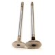 Set of Engine Valves for Volvo 2.0 D2, D3, D4 & D5 - D4204T