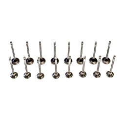 Set of Engine Valves for Volvo 2.0 D2, D3, D4 & D5 - D4204T