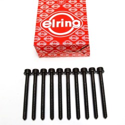 Cylinder Head Bolts for Audi 1.8 & 2.0 TFSi | WHT005305