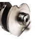 Crankshaft for Seat Alhambra 2.0 TSi - DEDA