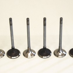 Full set of 8 Inlet & Exhaust Valves for Volvo 1.6 Diesel 