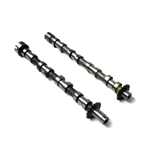 Inlet & Exhaust Camshafts for Fiat 2.2 JTD / D Multijet 