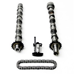 2 x Camshafts & Timing Chain Kit for Fiat Ulysse 2.2 JTD / D Multijet - 4HP, 4HR, 4HT