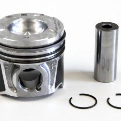 Piston with Rings for Tata Indica 1.3 CRDi 16v - 169A1.000 