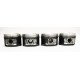 Renault Clio, Laguna & 19 1.8 F3P Set of 4 Pistons 0.25mm Oversize